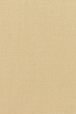 Sunbrella Canvas Antique Beige 5422-0000