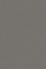 Sunbrella Canvas Charcoal 54048-0000