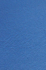 Denali Vinyl - 09 Pacific Blue