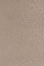 Denali Vinyl - 35 Medium Parchment