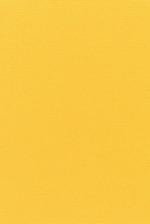 Sunbrella Canvas Sunflower Yellow 5457-0000