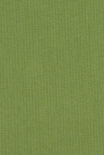 Sunbrella Spectrum Cilantro 48022-0000