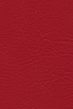 Tradewinds Tropical Punch