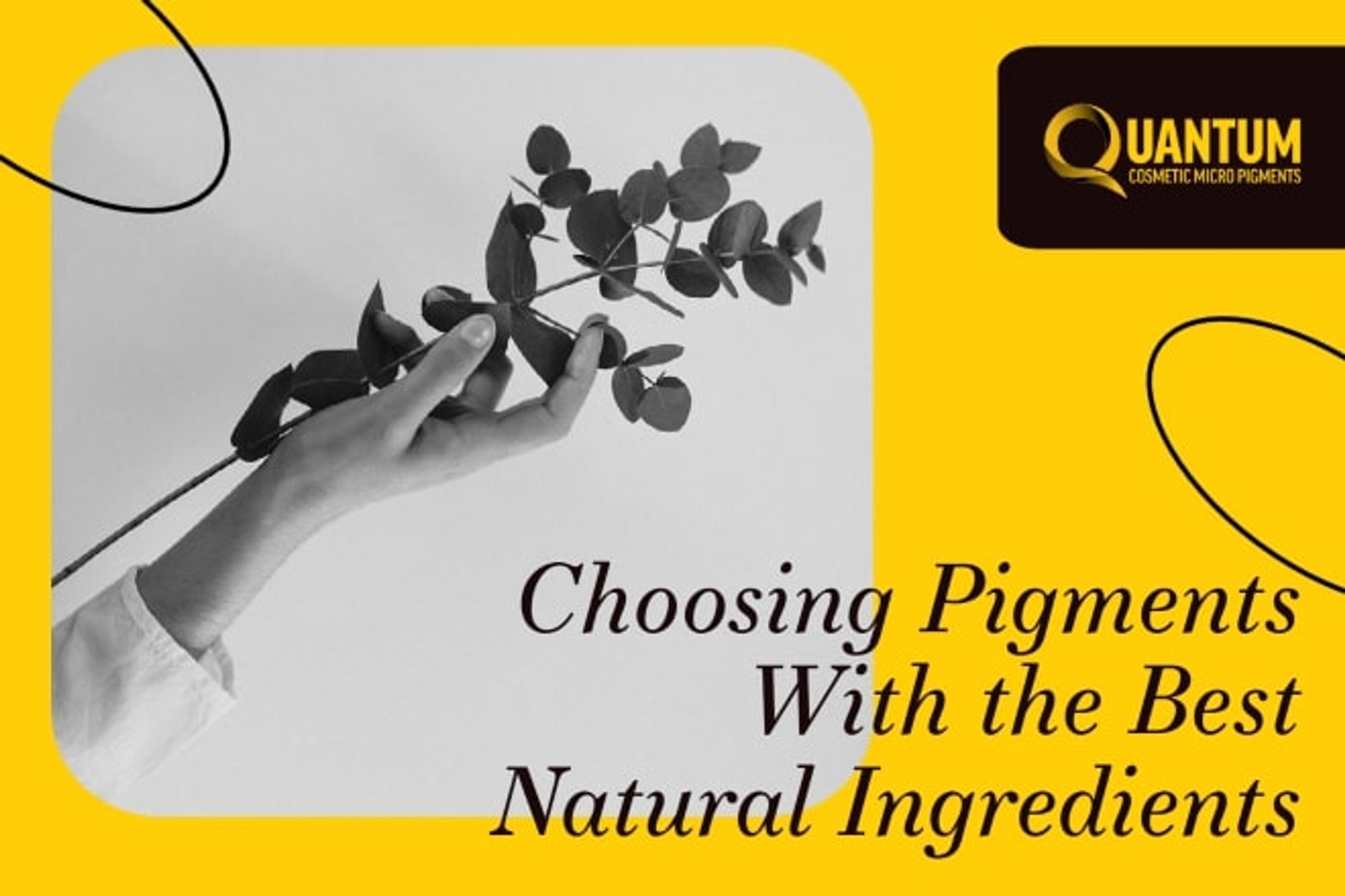 CHOOSING PIGMENTS WITH THE BEST INGREDIENTS Quantum PMU EU