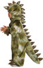 Child T-Rex Costume