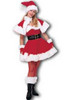 Sexy Miss Santa Costume