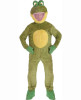 Frog Mascot Costume