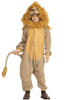 Kids Lion Funsies Costume
