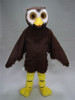 "Hoot" Owl Mascot Costume