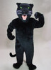 Black Panther Mascot Costume