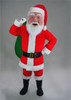 Santa Claus Mascot Costume