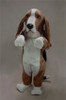 Basset Hound Mascot Costume