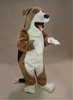 Beagle Mascot Costume