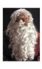 Adult Deluxe Santa Suit Wig and Beard