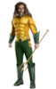 Adult Deluxe Aquaman Costume