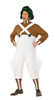 Adult Deluxe Oompa Loompa Costume - Standard