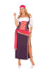 Plus Size Gypsy Costume - Gypsy Maiden
