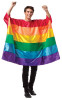 Rainbow Flag Costume