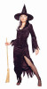 Adult Woman's Deluxe Witch Costume