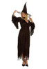 Adult Gown Witch Costume