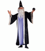 Adult Plus Size Deluxe Wizard Costume