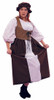 Adult Woman's Plus Size Renaissance Peasant Costume
