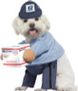 US Mail Carrier Dog Costume