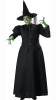 Women's Plus Size Witch Costume