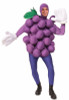 Adult Purple Grapes Halloween Costume