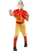 Avatar The Last Airbender: Aang Child Costume