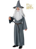 Kids The Hobbit Gandalf Costume - Small