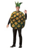 Adult Pineapple Get Real Costume