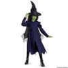 Kids Classic Wicked: For Good Elphaba Dress Costume