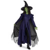 Adult Deluxe Wicked: For Good Elphaba Costume
