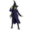 Toddler Classic Wicked: For Good Elphaba Dress Costume - 3T-4T