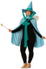 Adult Blue Fairy Godmother Hat, Cape & Wand Costume