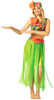 Adult Hula Girl Top, Skirt & Headpiece Costume Set