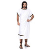 Men's Plus Size Classic Toga with Shoulder Drape Costume