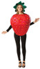 Adult Strawberry Fruit Costume