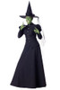 Adult Wicked Witch Costume