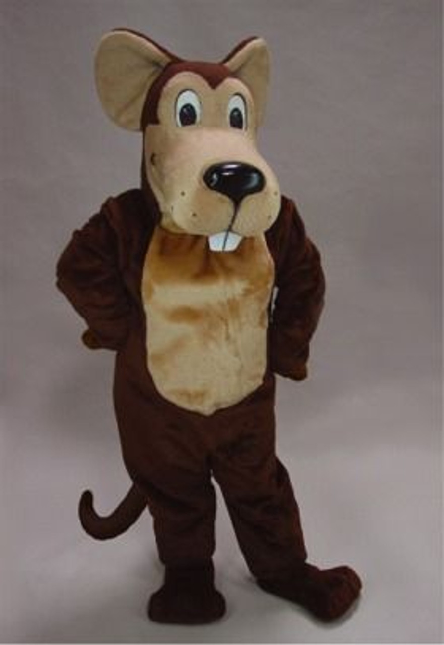 Cartoon Mouse Costume