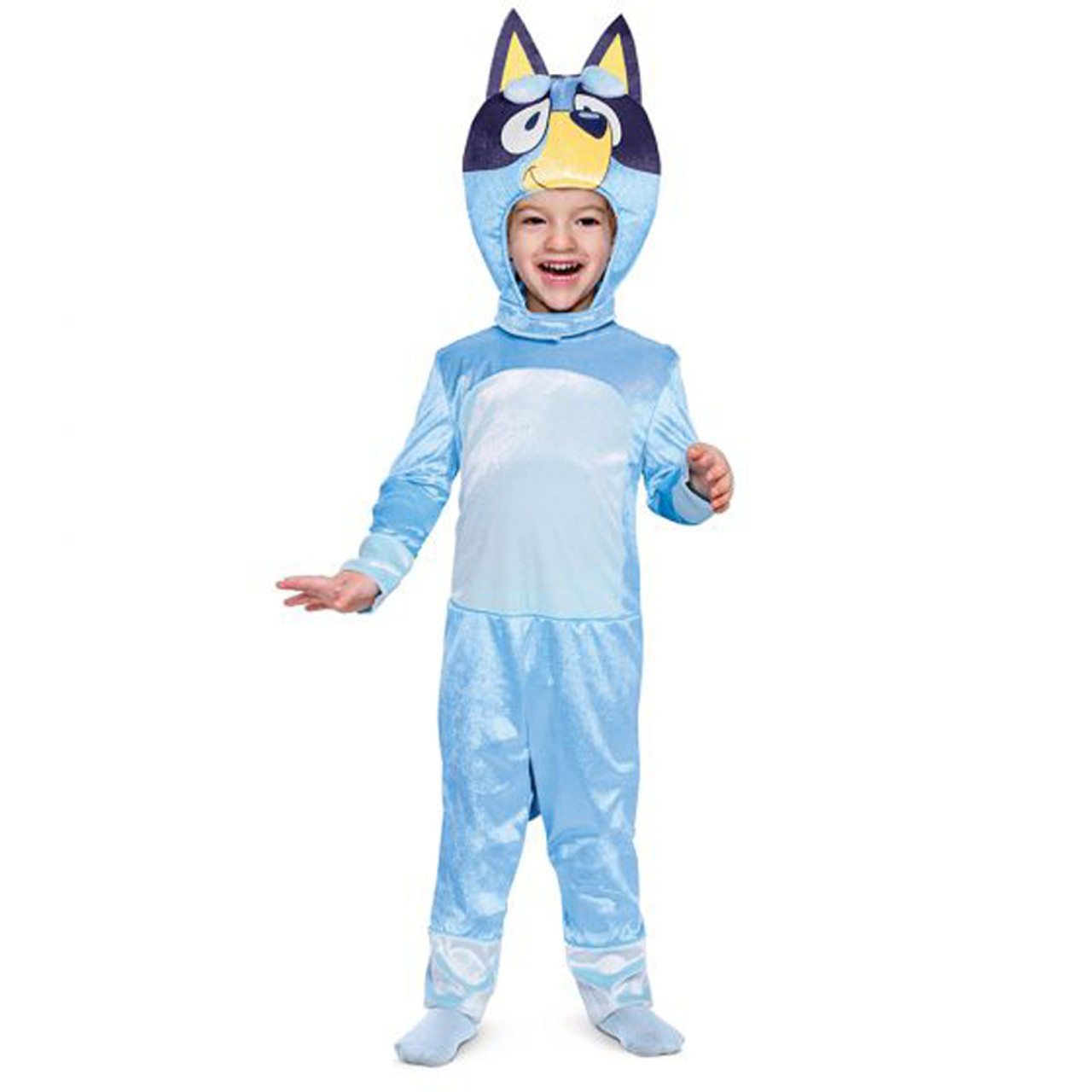 Kids Bluey Costume