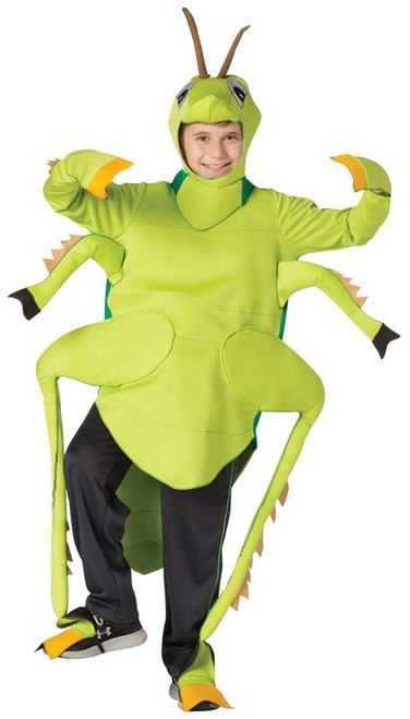 Child Grasshopper Costume