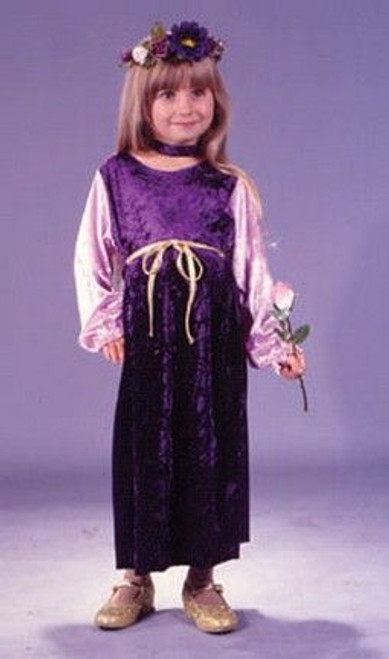 Toddler Velvet Harvest Princess Costume