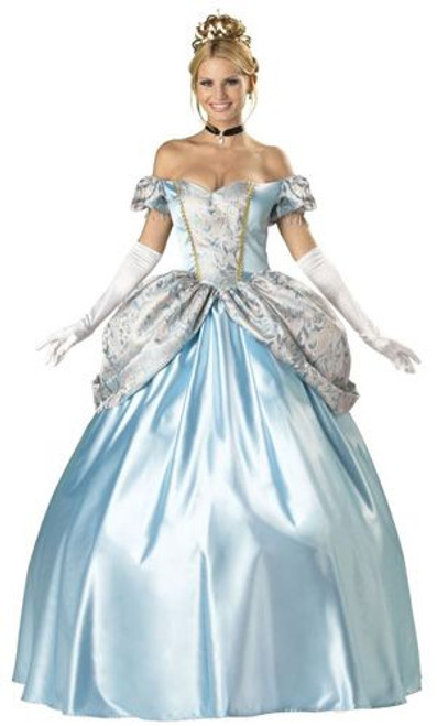 Adult Enchanting Princess Costume