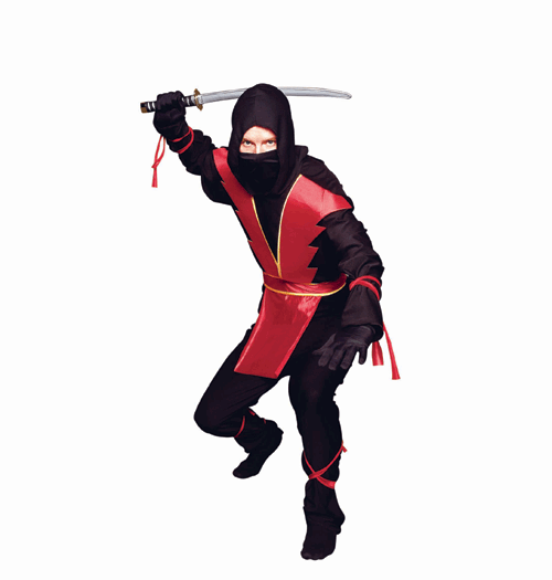 Adult Plus Size Colored Ninja Costume