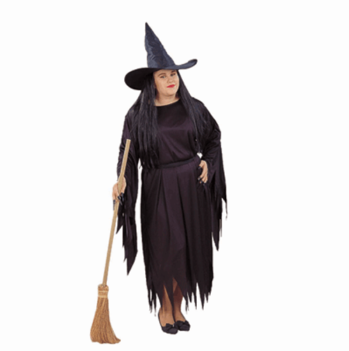 Adult Plus Size Witch Costume