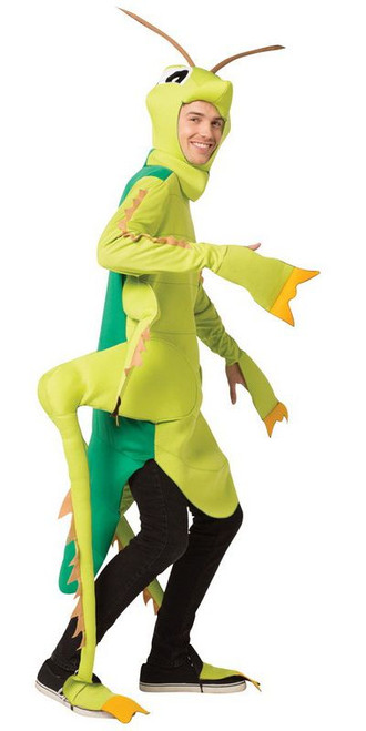 Adult Grasshopper Costume