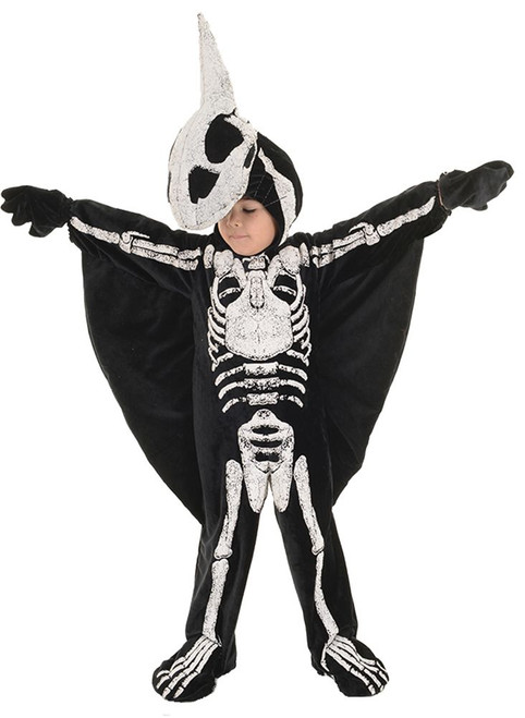 Toddler Pterodactyl Fossil Costume