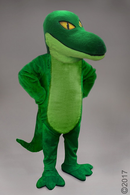Raptor Mascot Costume